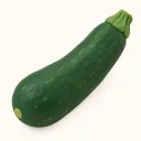 Week 26: klei-illustratie van een courgette
