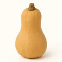 Week 29: klei-illustratie van een butternut pompoen