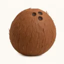 Week 31: klei-illustratie van een kokosnoot