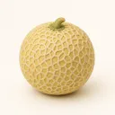 Week 33: klei-illustratie van een galiameloen